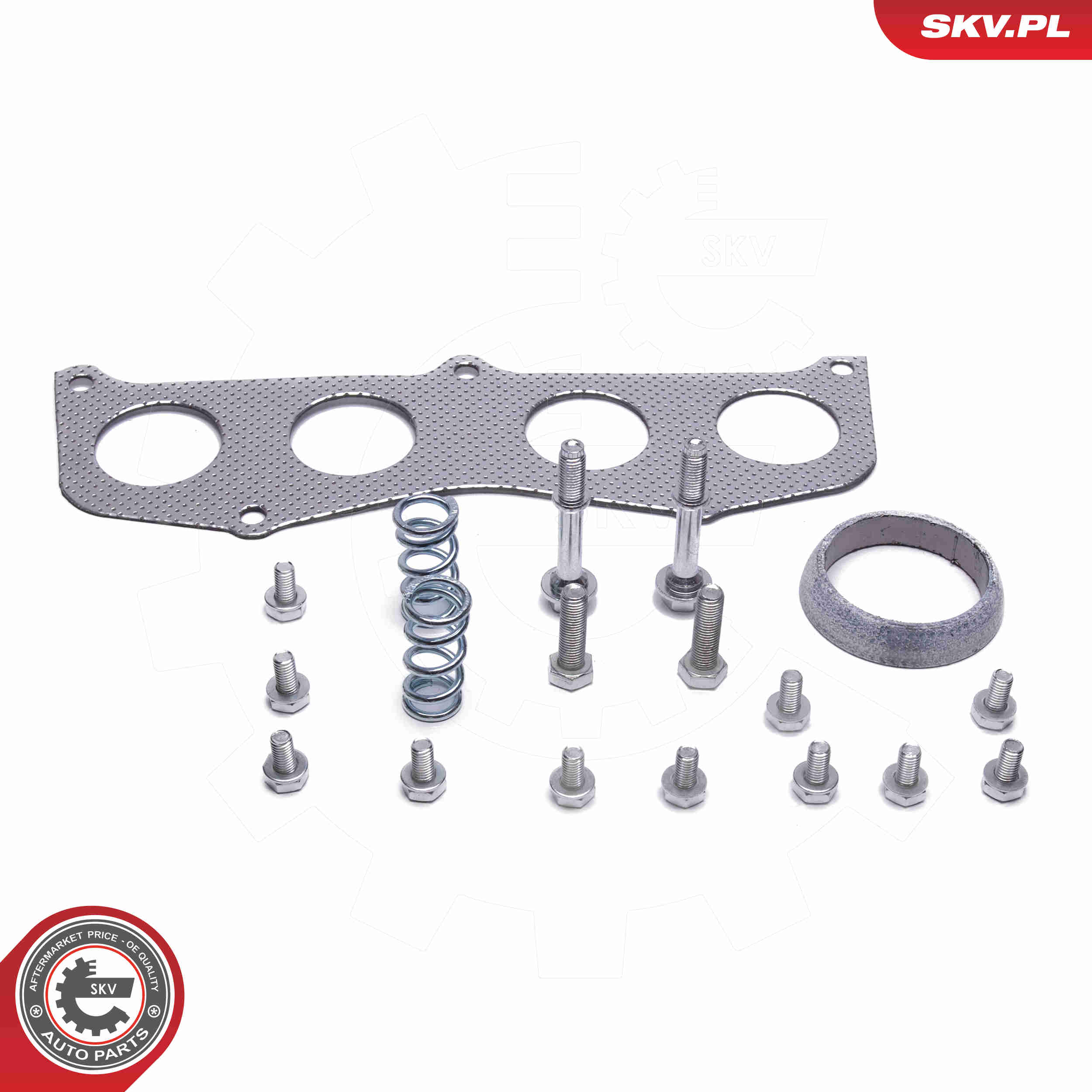 Catalytic Converter - 62SKV024 ESEN SKV