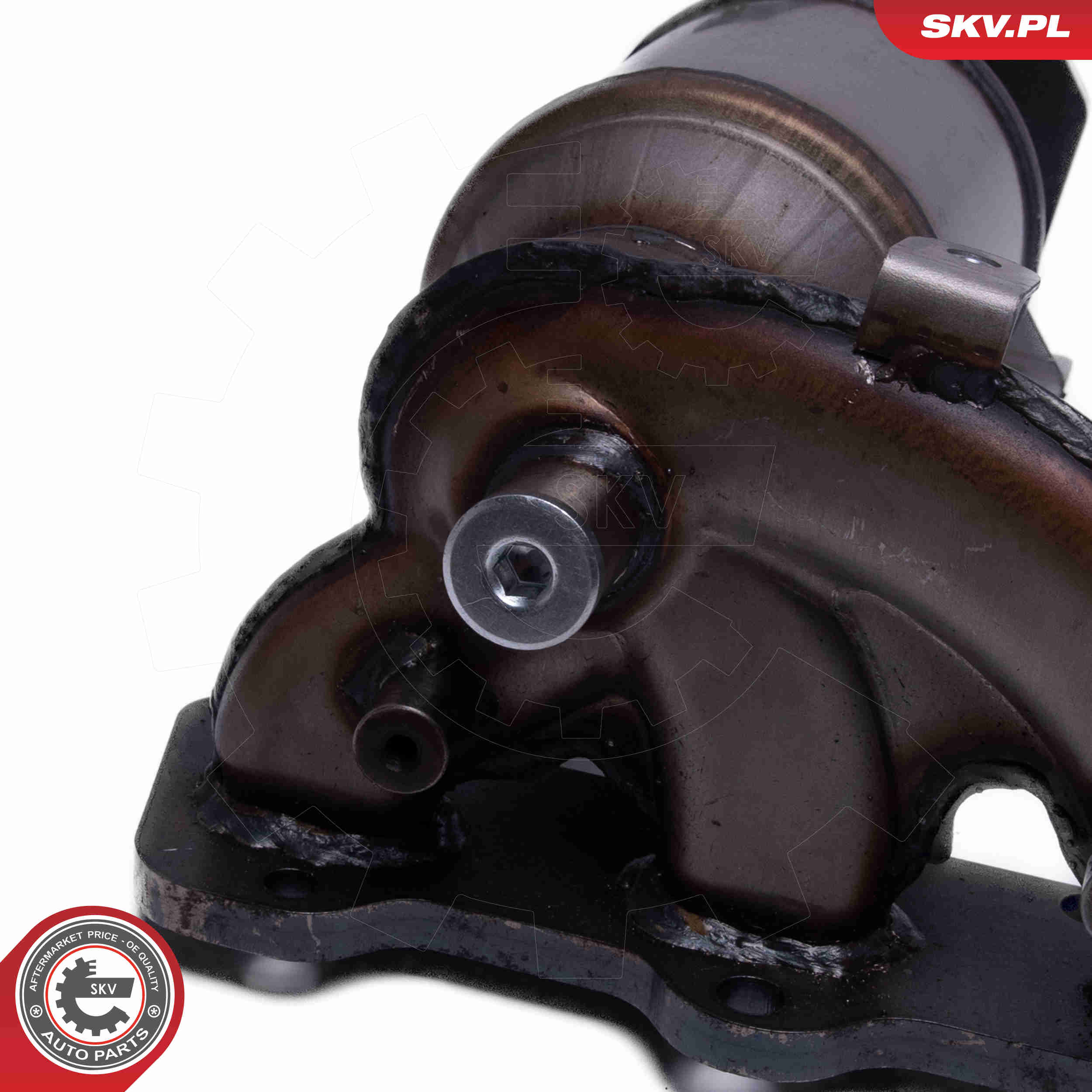Catalytic Converter - 62SKV026 ESEN SKV