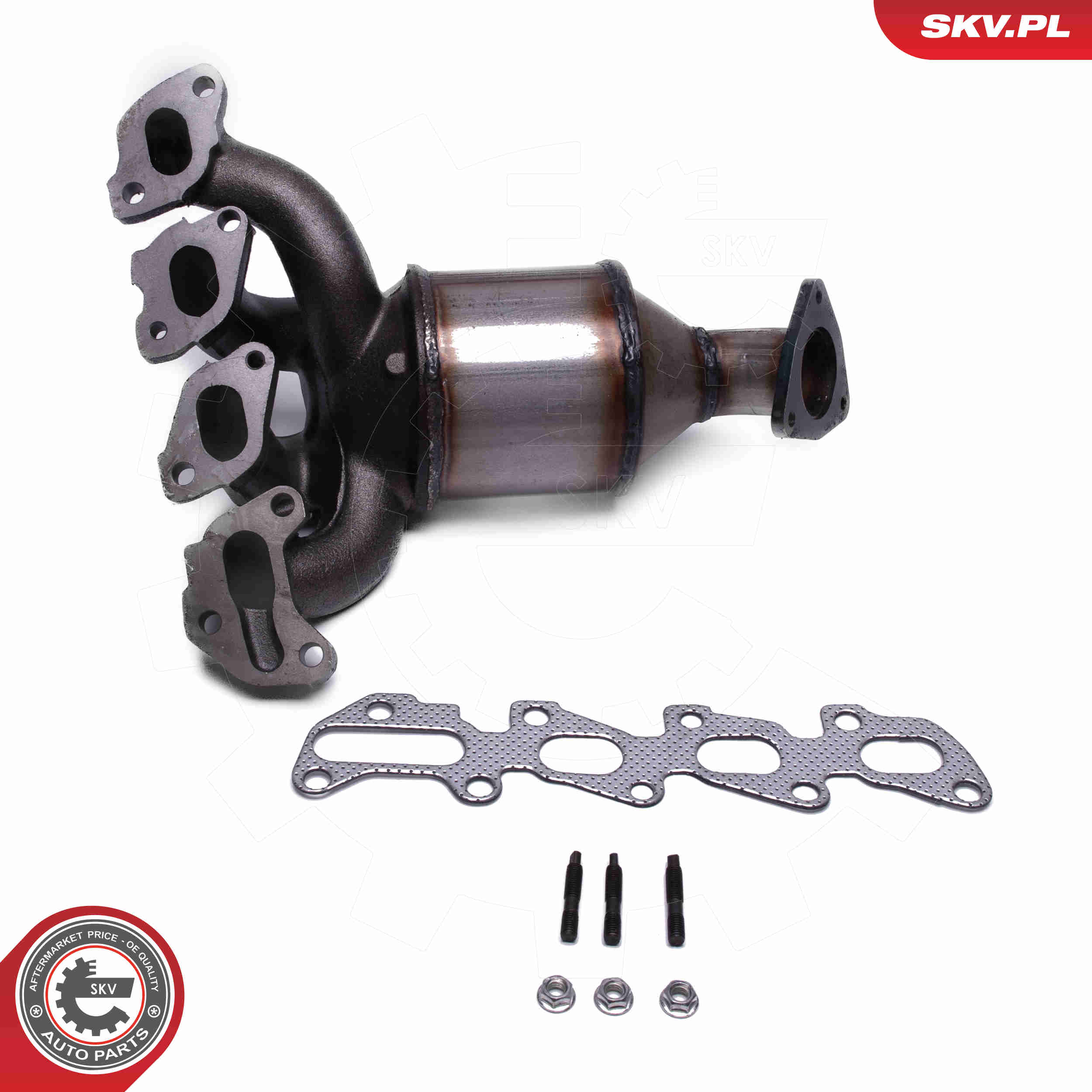 Catalizzatore - 62SKV029 ESEN SKV