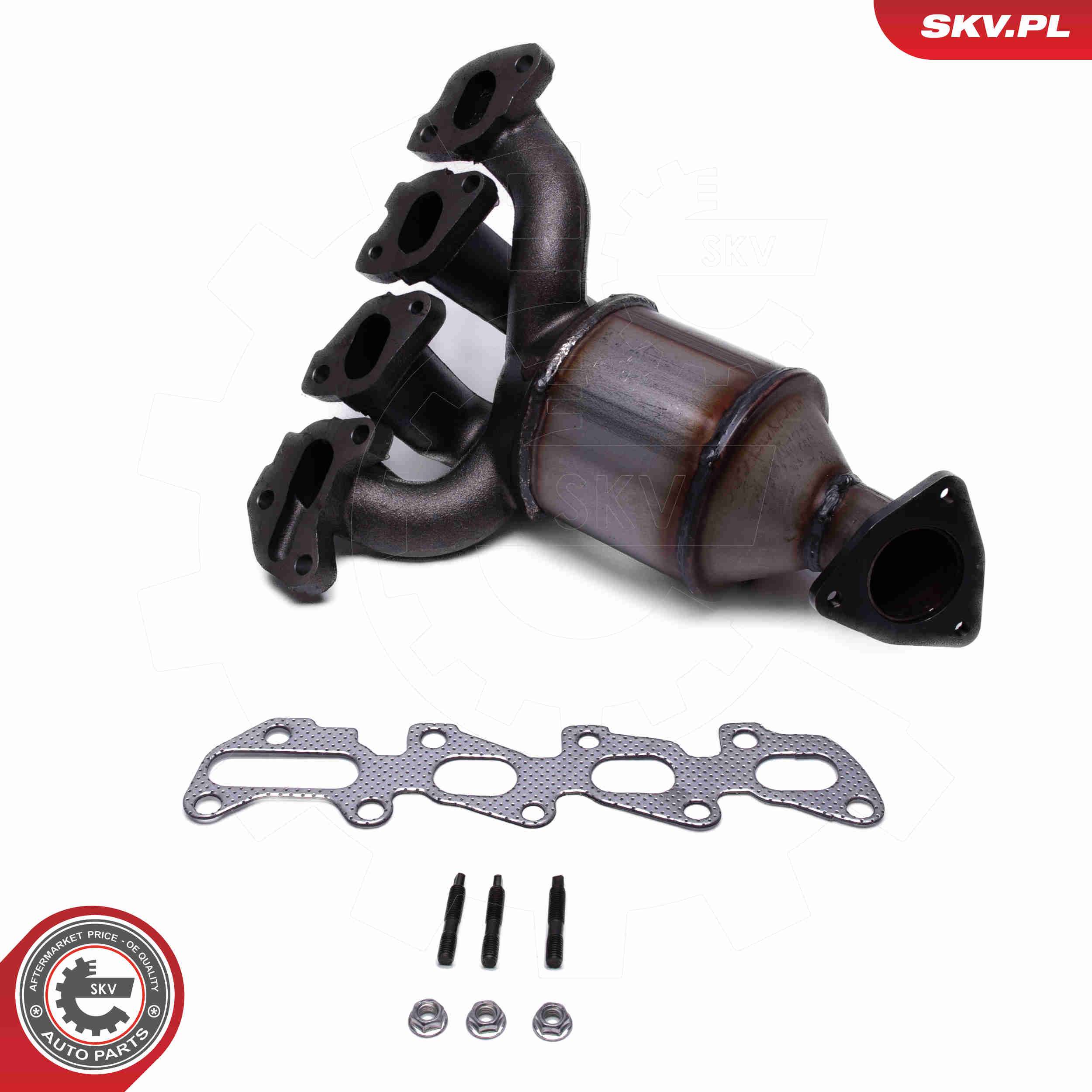 Catalizzatore - 62SKV029 ESEN SKV
