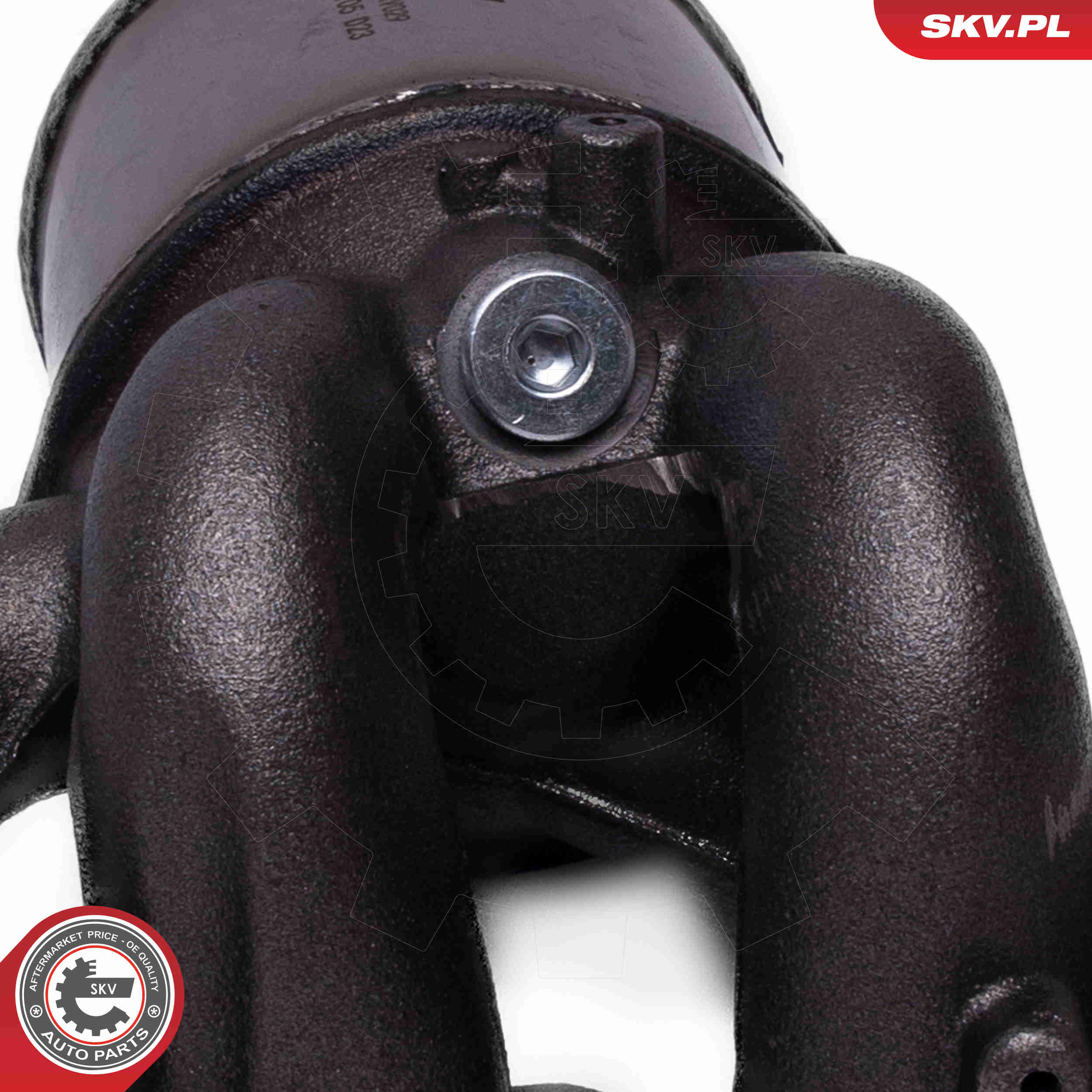 Catalizzatore - 62SKV029 ESEN SKV