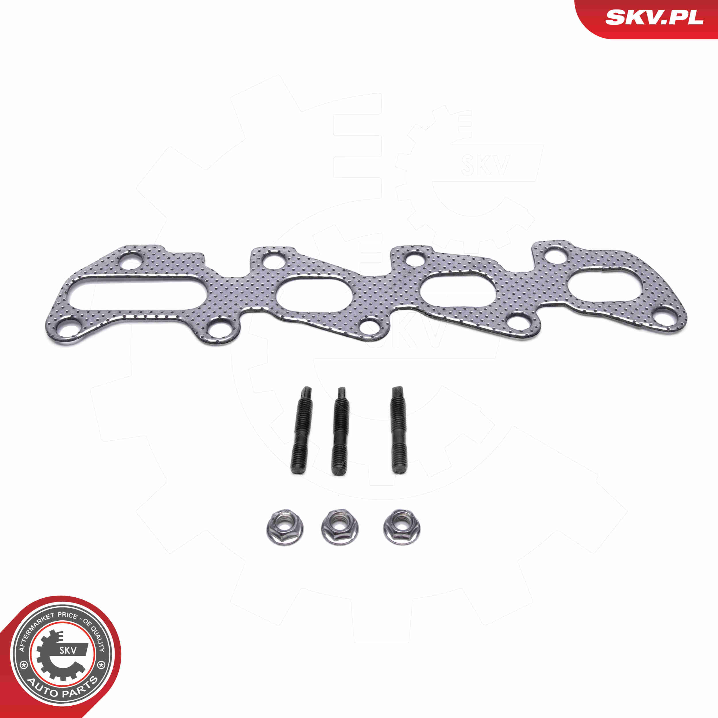 Catalizzatore - 62SKV029 ESEN SKV