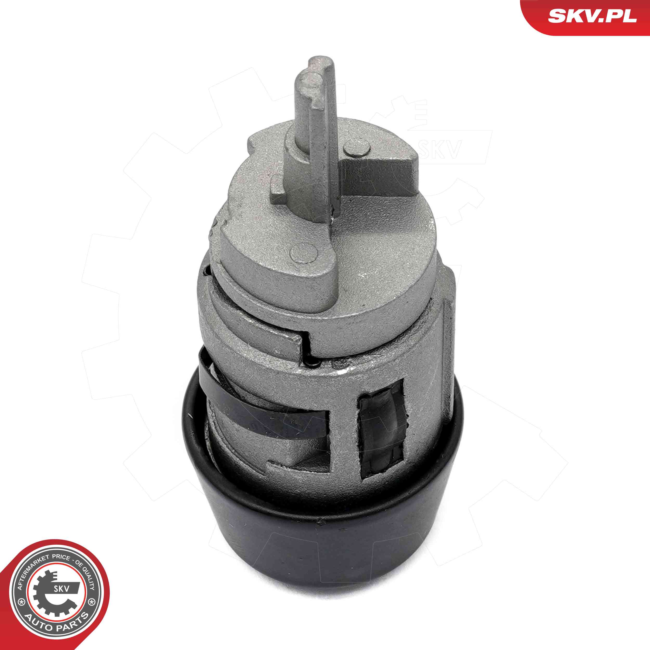Lock Cylinder, ignition lock - 65SKV504 ESEN SKV