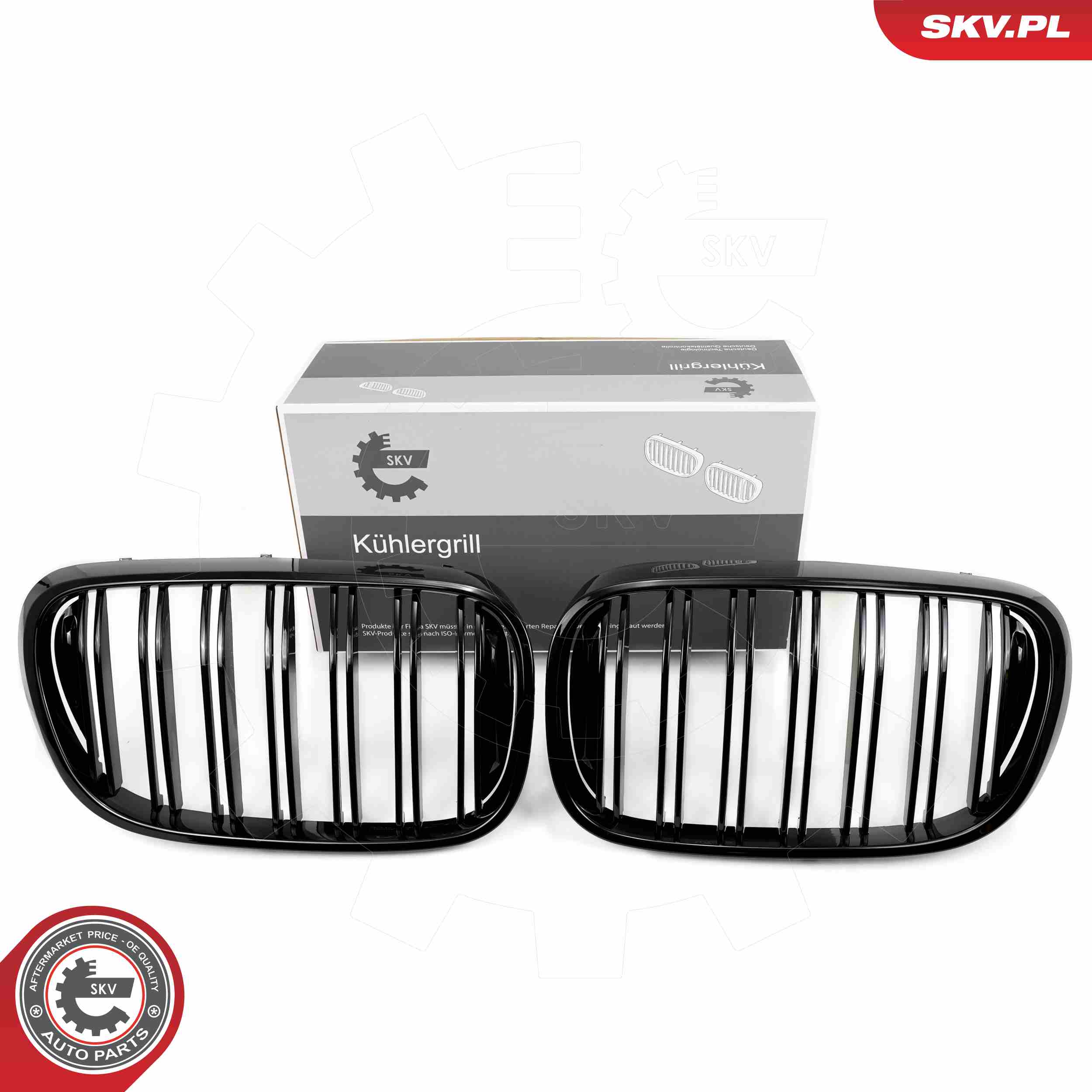 Radiator Grille - 66SKV223 ESEN SKV