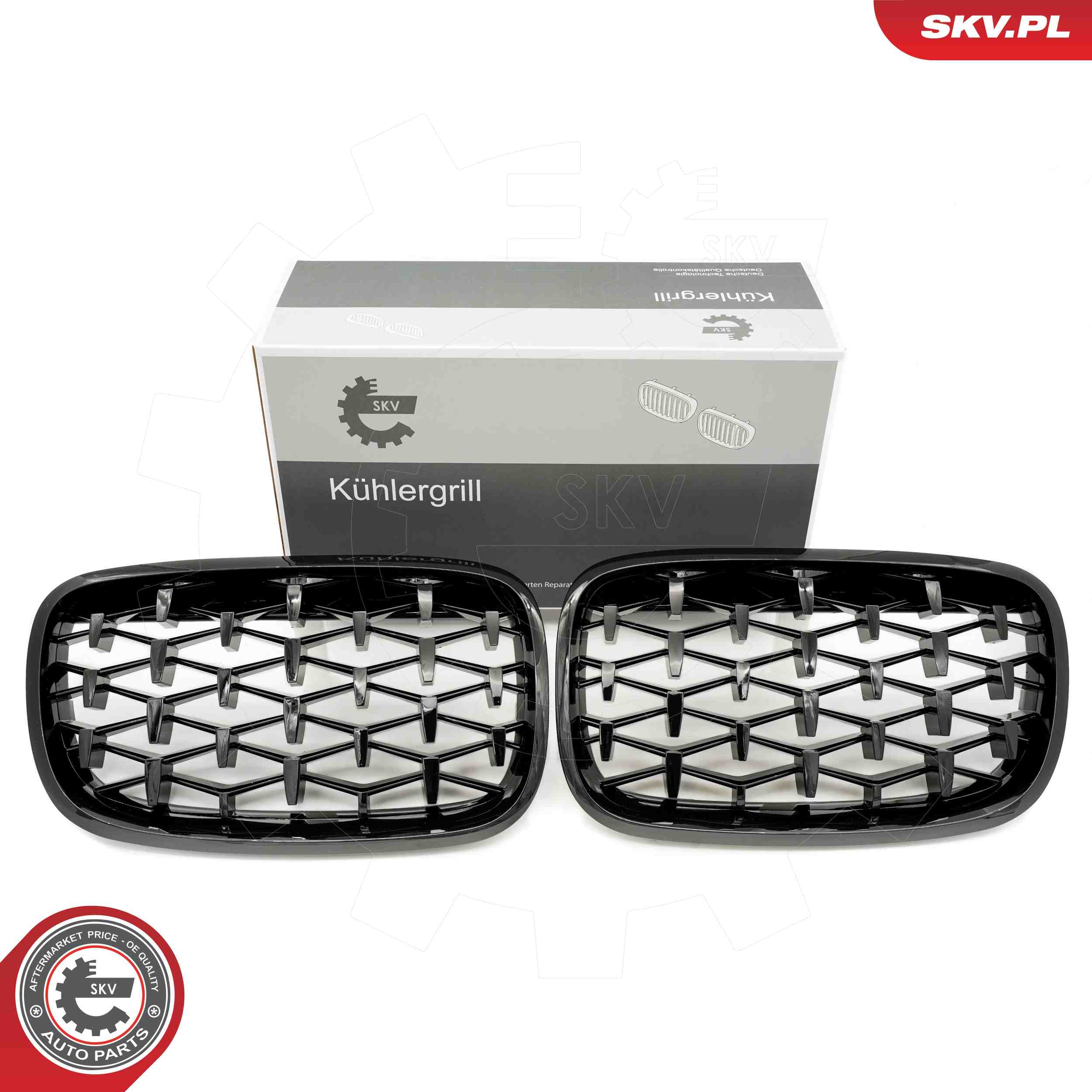 Radiator Grille - 66SKV291 ESEN SKV