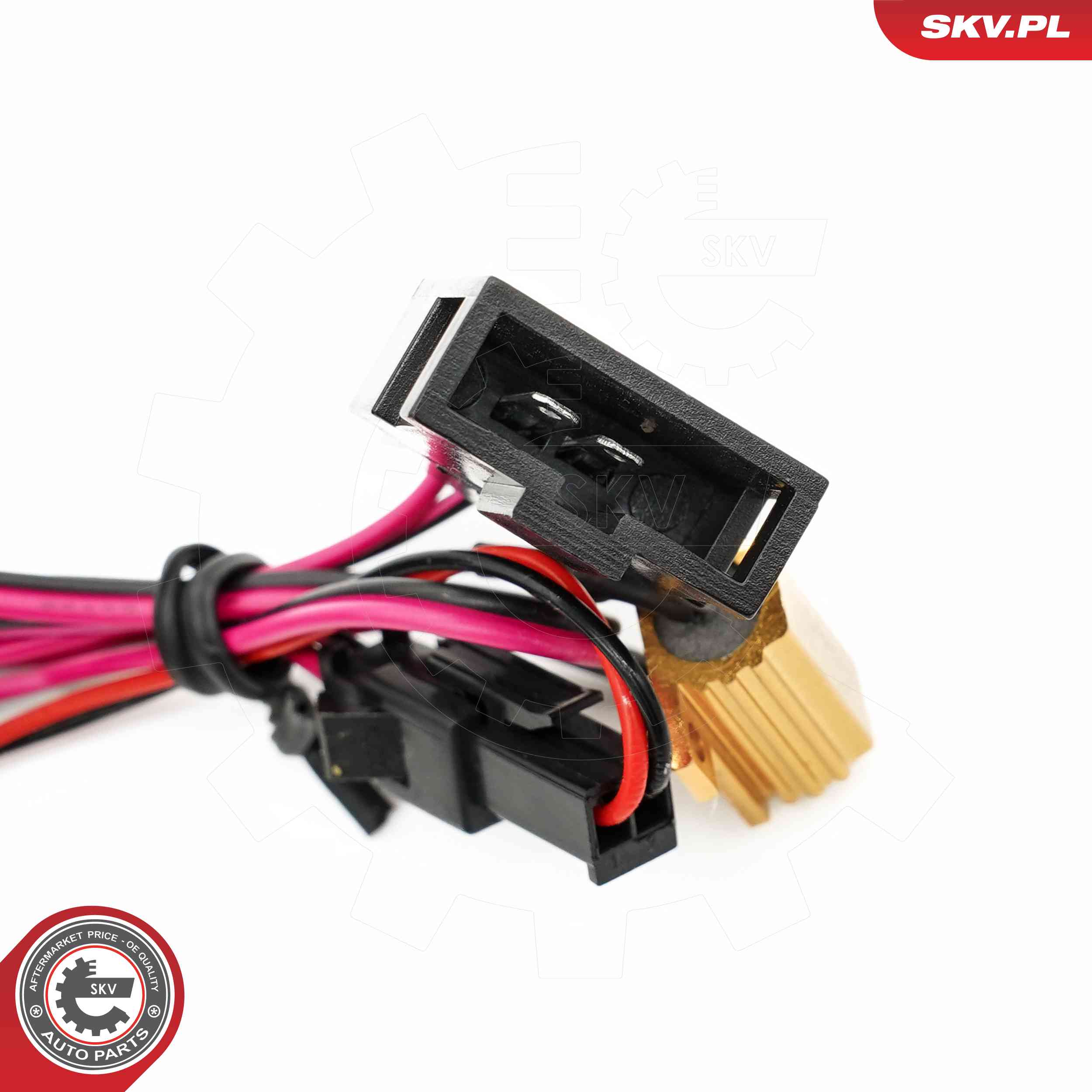 Licence Plate Light - 72SKV515 ESEN SKV