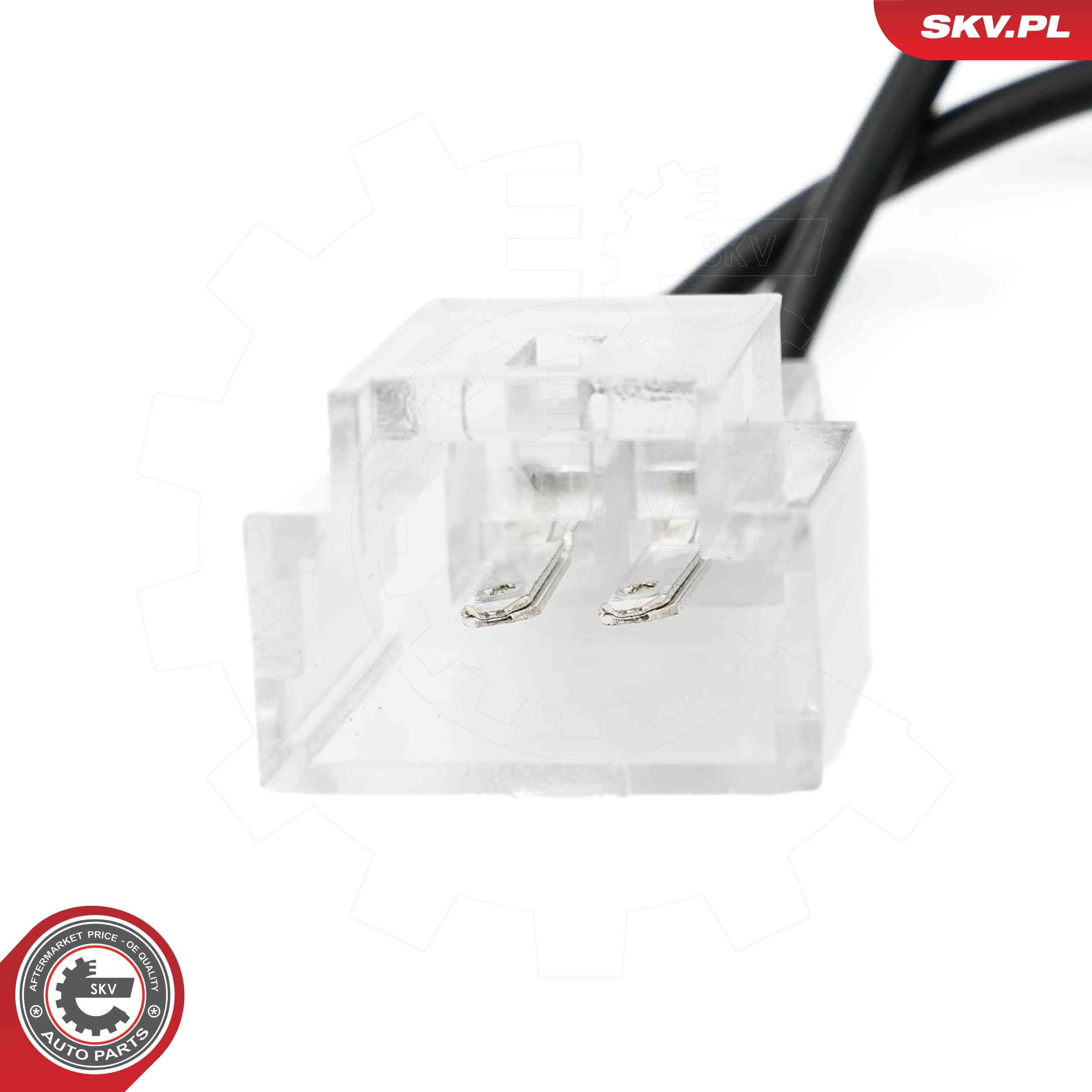 Licence Plate Light - 72SKV517 ESEN SKV