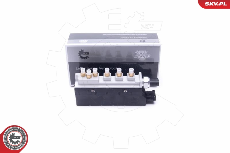 Valvola, Imp. aria compressa - 93SKV802 ESEN SKV