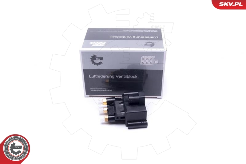 Valvola, Imp. aria compressa - 93SKV804 ESEN SKV