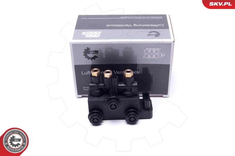 Valvola, Imp. aria compressa - 93SKV816 ESEN SKV
