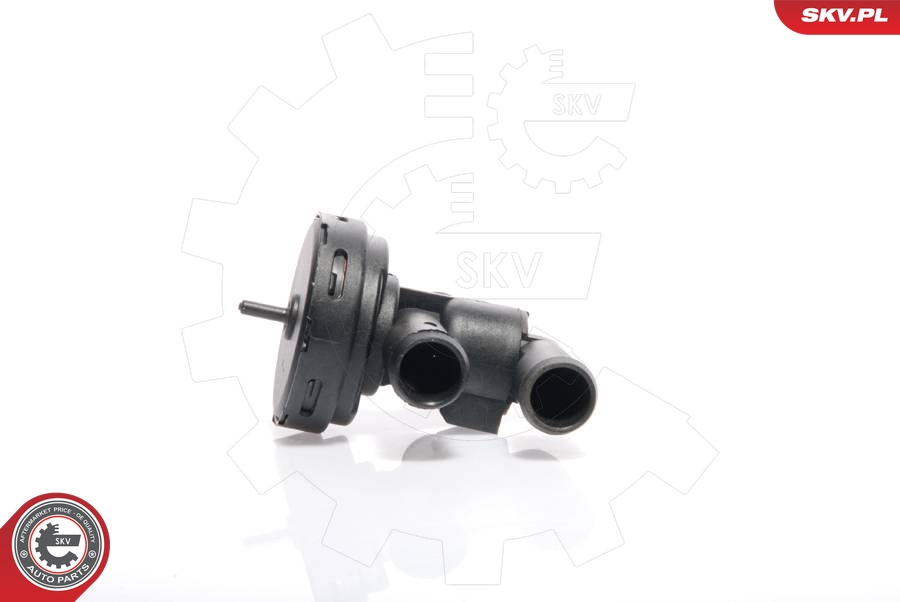 Control Valve, coolant - 95SKV900 ESEN SKV