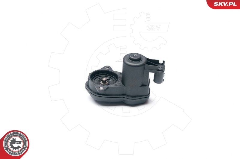 Regolatore, Pinza freno stazionamento - 96SKV014 ESEN SKV