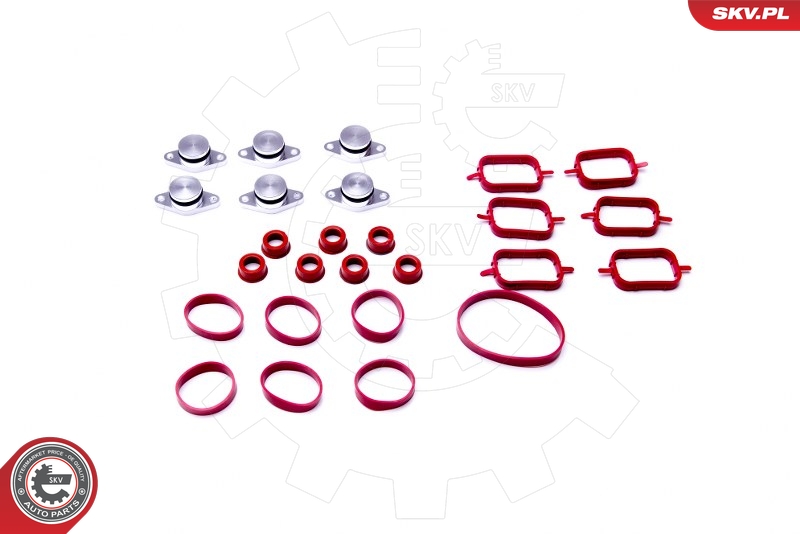 Gasket Set, intake manifold - 96SKV052 ESEN SKV