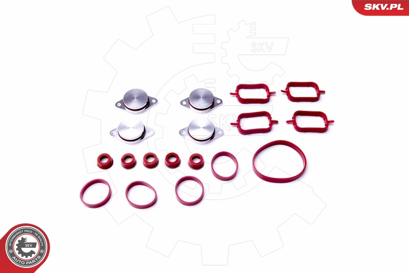 Gasket Set, intake manifold - 96SKV053 ESEN SKV