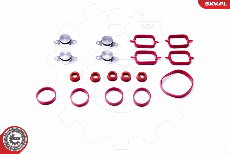 Gasket Set, intake manifold - 96SKV054 ESEN SKV