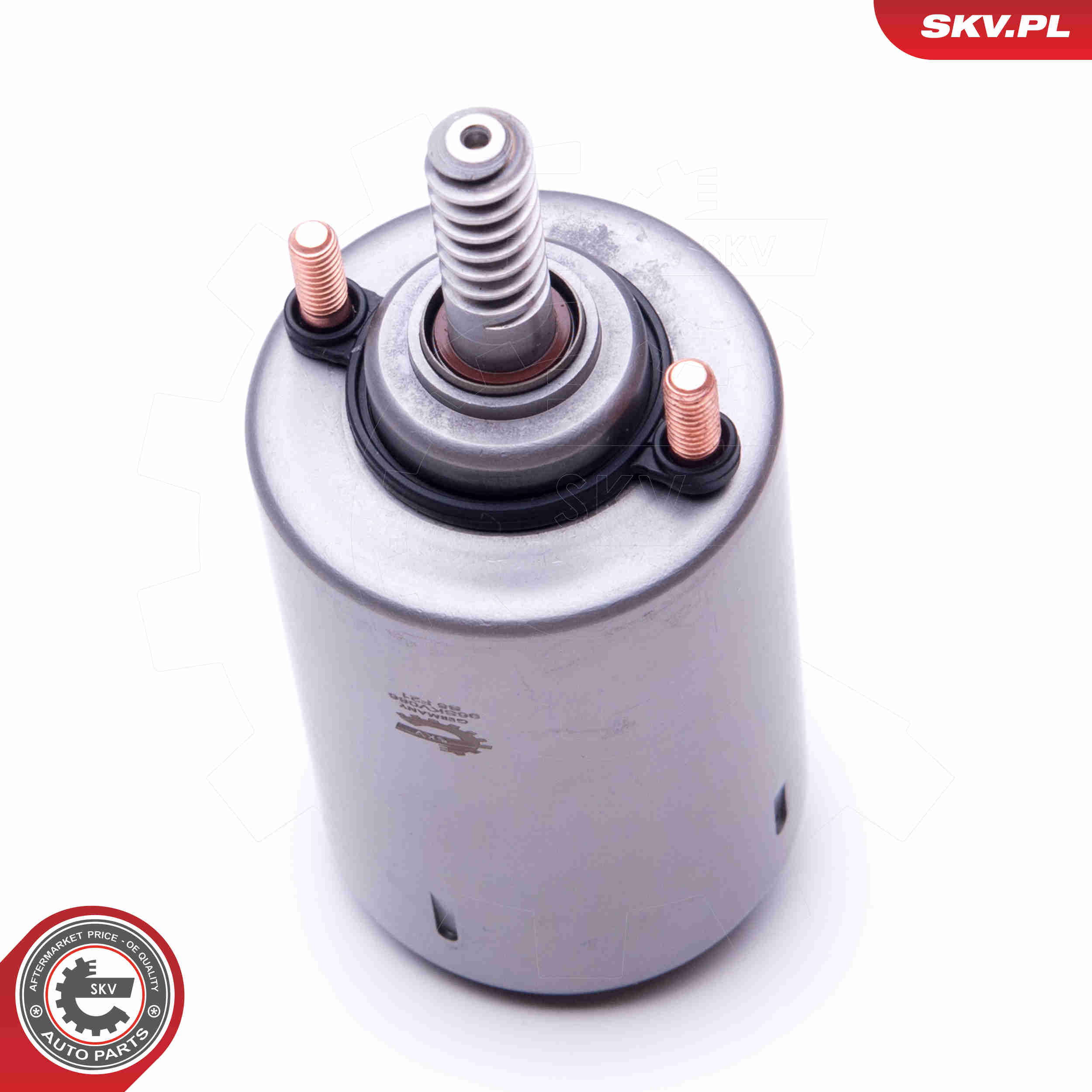 Actuator, exentric shaft (variable valve lift) - 96SKV086 ESEN SKV