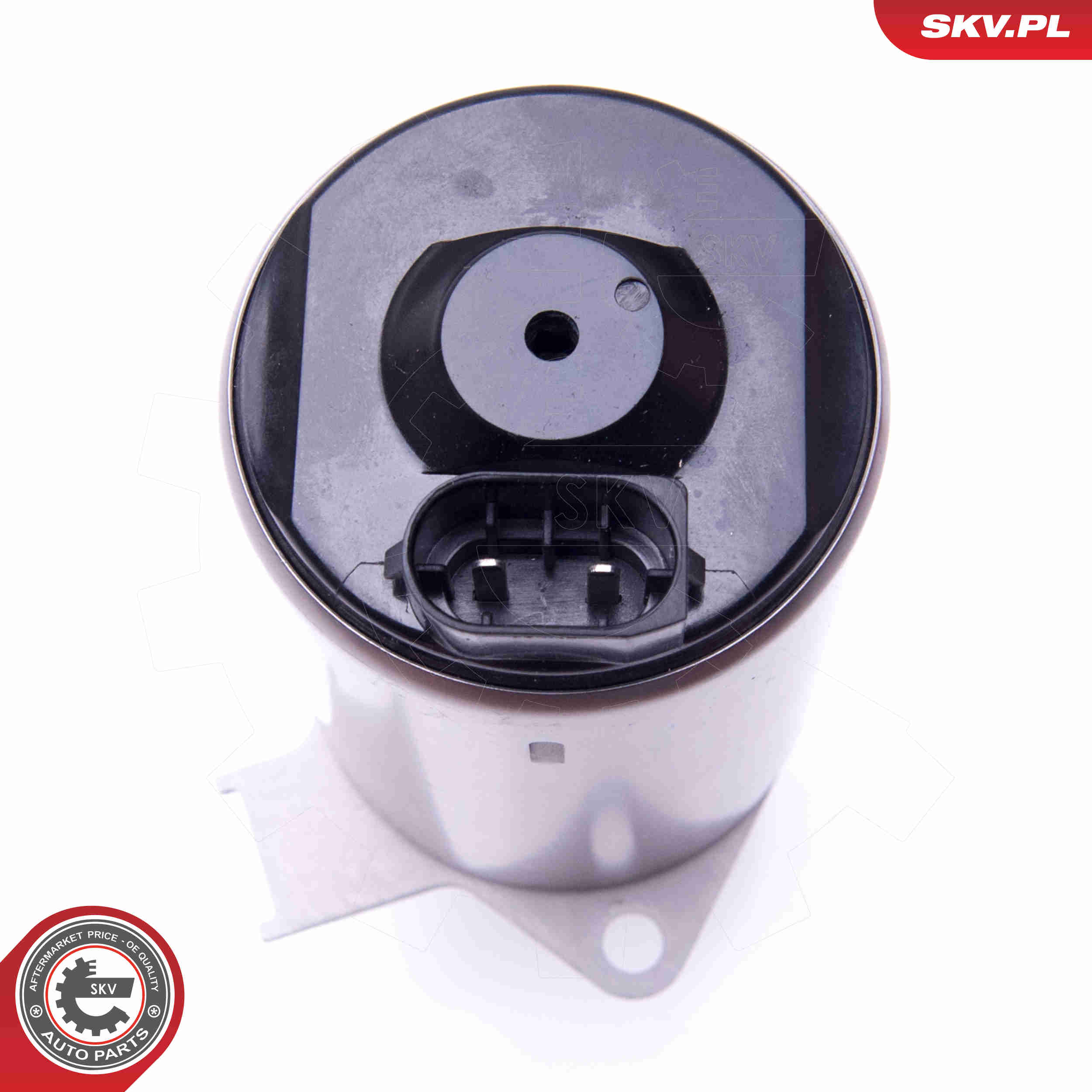 Actuator, exentric shaft (variable valve lift) - 96SKV087 ESEN SKV
