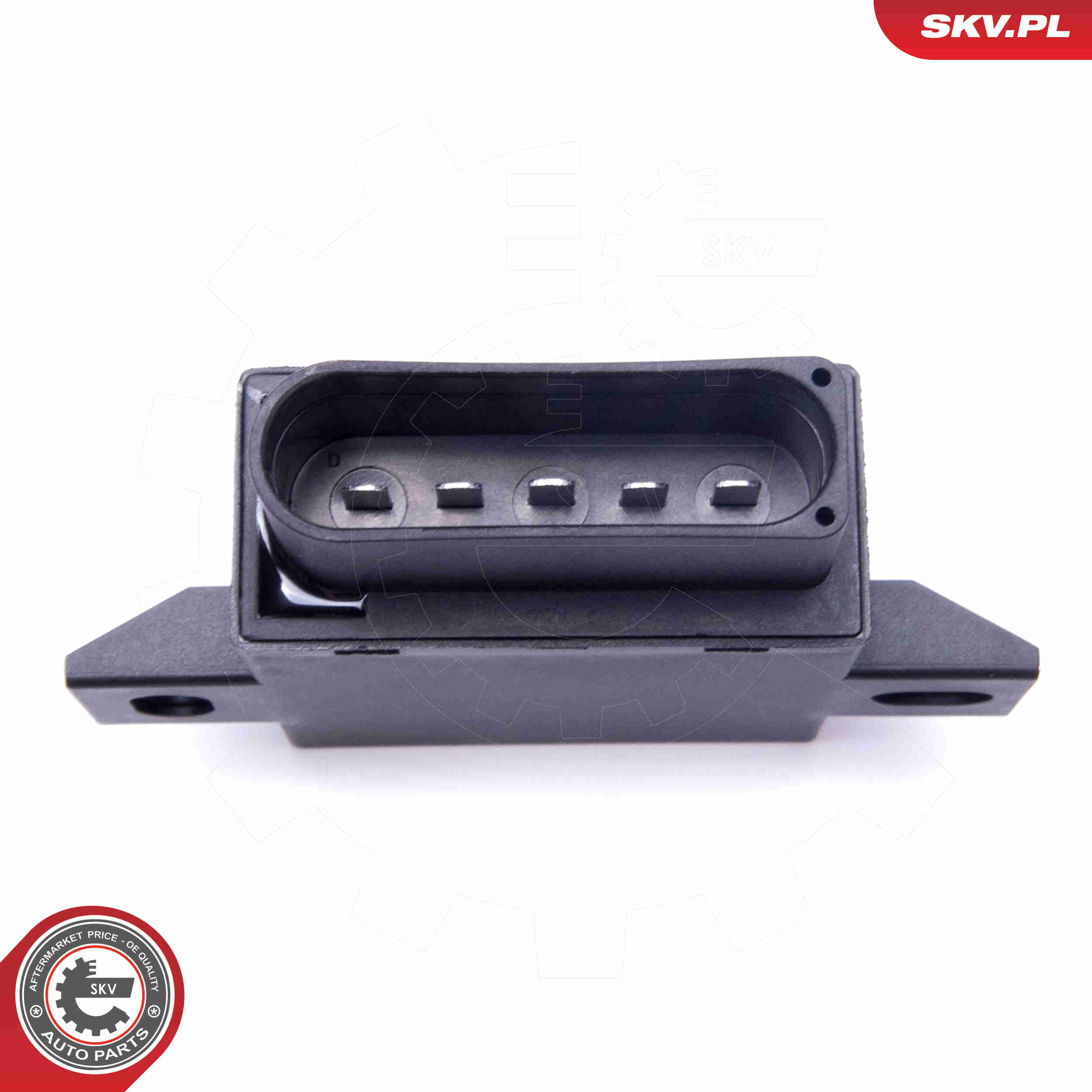 Control Unit, fuel pump - 96SKV213 ESEN SKV