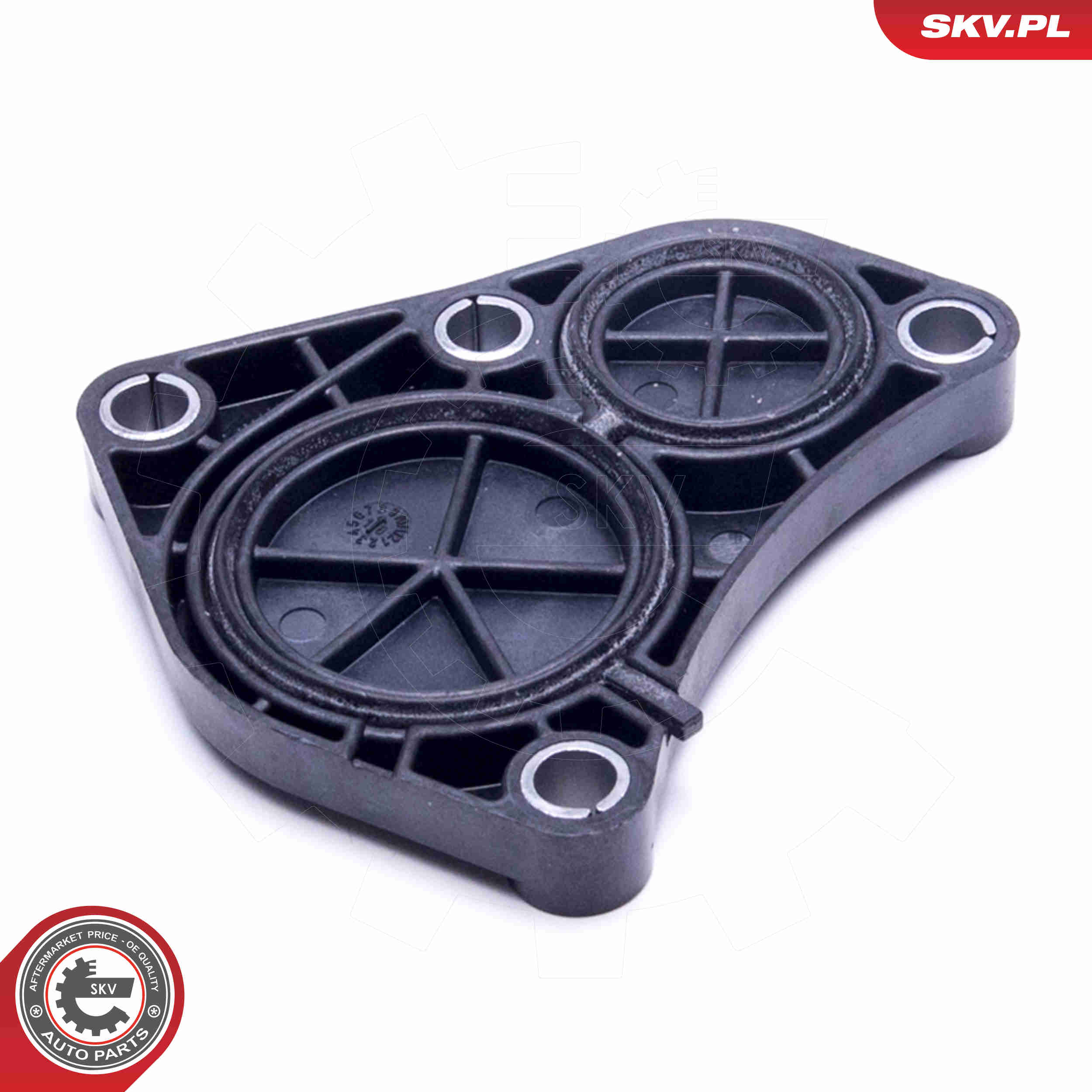 Locking Cover, camshaft - 96SKV215 ESEN SKV