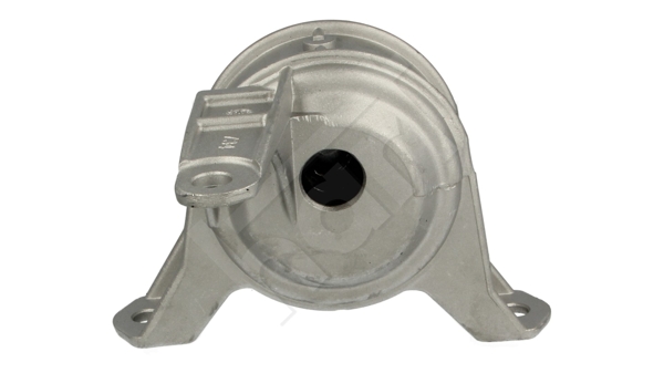 Sospensione, Motore - 357 010 HART
