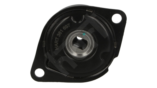 Tendicinghia, Cinghia Poly-V - 361 697 HART