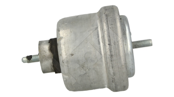 Engine Mounting - 441 303 HART