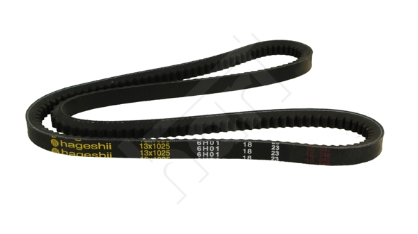 Cinghia trapezoidale - 305 587 HART
