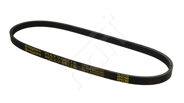 Cinghia Poly-V - 331 758 HART