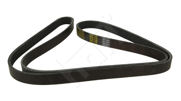 V-Ribbed Belt - 331 882 HART