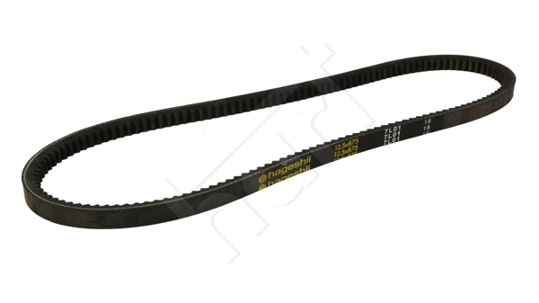 V-Belt - 334 193 HART