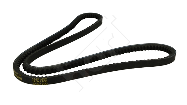 V-Belt - 334 198 HART