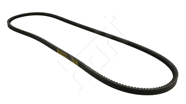 Cinghia trapezoidale - 334 202 HART