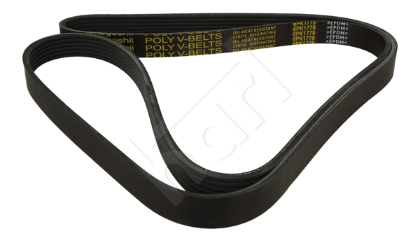 Cinghia Poly-V - 334 321 HART
