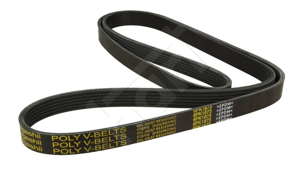 V-Ribbed Belt - 334 322 HART