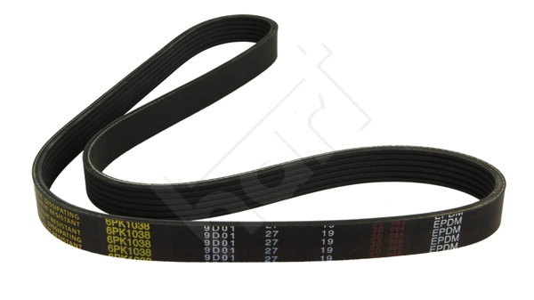 Cinghia Poly-V - 338 058 HART