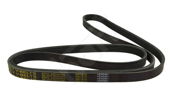 Cinghia Poly-V - 338 077 HART
