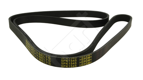 Cinghia Poly-V - 368 876 HART