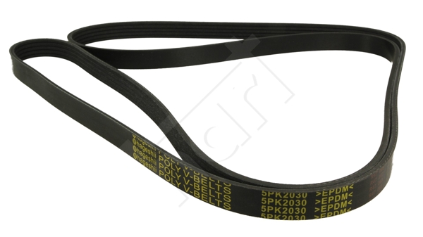 Cinghia Poly-V - 368 889 HART