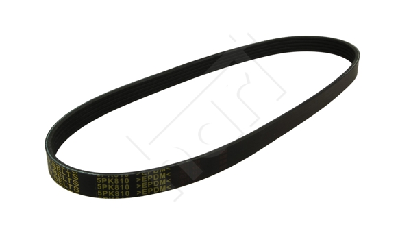 V-Ribbed Belt - 368 895 HART