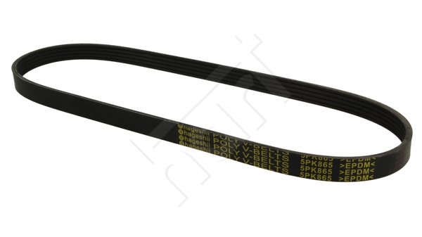 Cinghia Poly-V - 368 897 HART