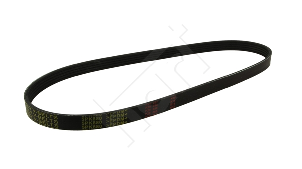 Cinghia Poly-V - 368 899 HART