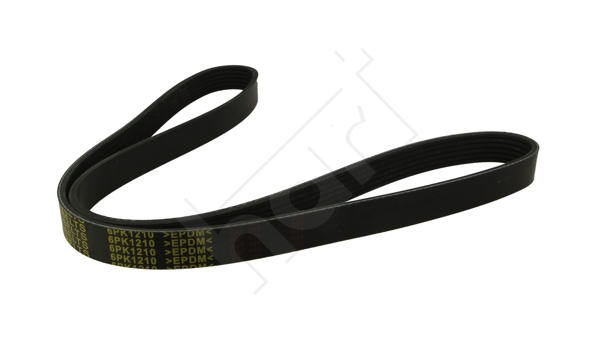 Cinghia Poly-V - 368 921 HART