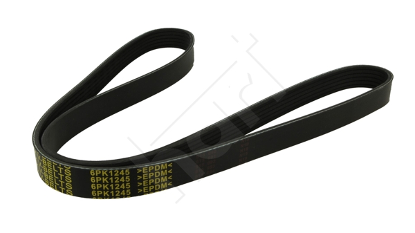 Cinghia Poly-V - 368 923 HART