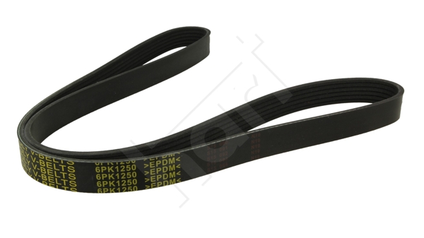 Cinghia Poly-V - 368 924 HART