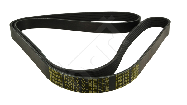 Cinghia Poly-V - 368 959 HART