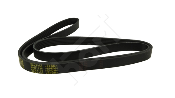 Cinghia Poly-V - 368 960 HART