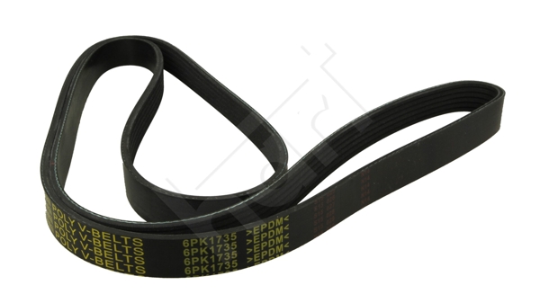 Cinghia Poly-V - 368 961 HART