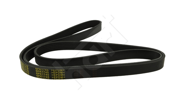 Cinghia Poly-V - 368 962 HART