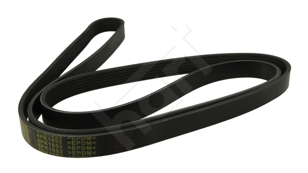 Cinghia Poly-V - 368 967 HART