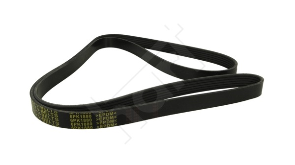 Cinghia Poly-V - 368 969 HART